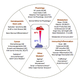 Research areas that have reported discrepancies when mice are housed under standard temperatures (the numbers correspond to citation number in the study). Image: Trends in Cancer.